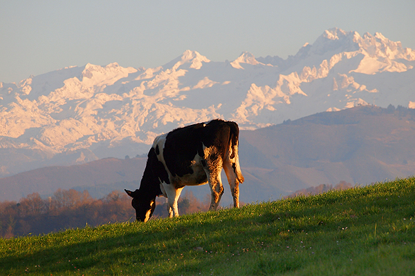 Views from one of our holiday properties: AT23